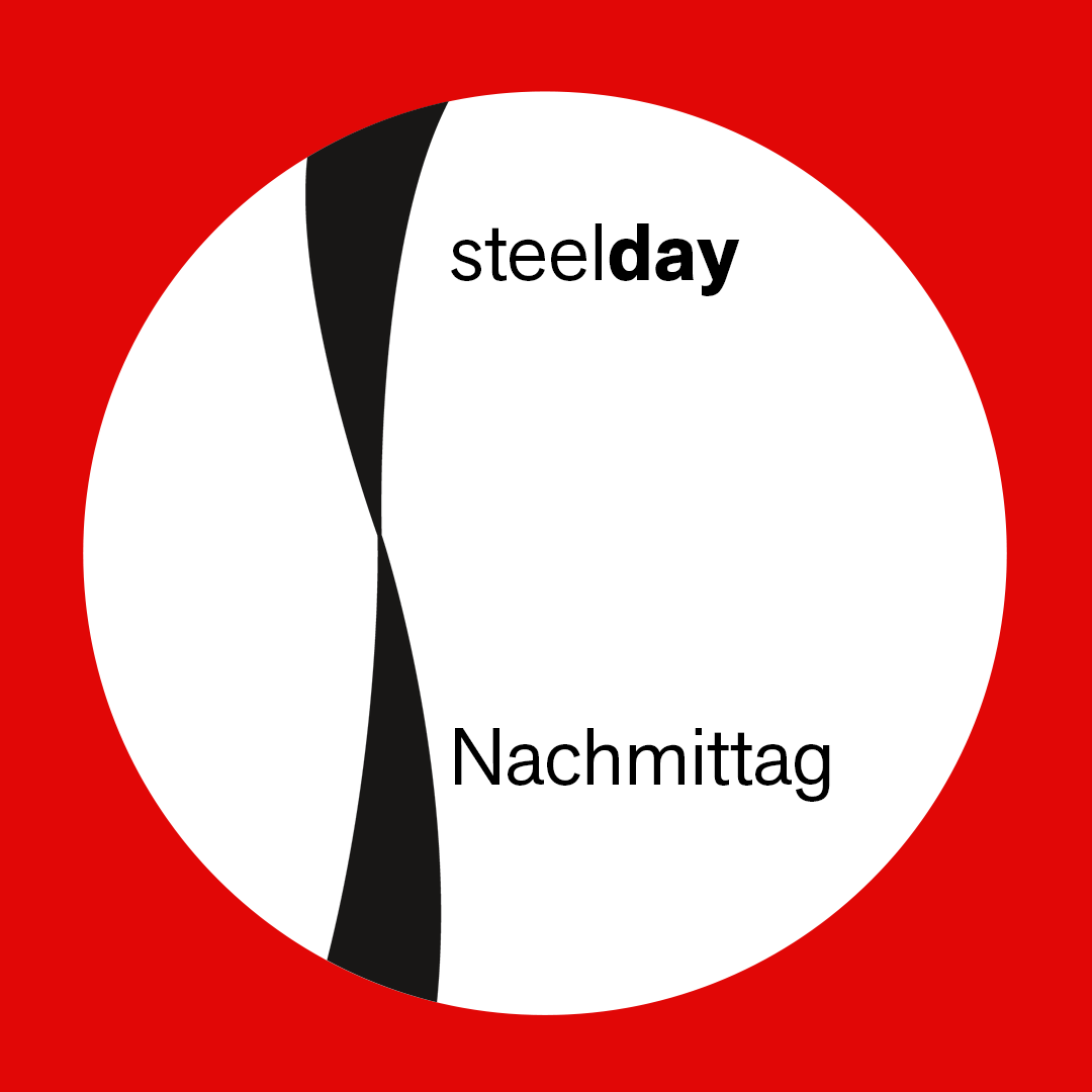 Billet individuel steelday